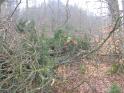 Bild 093